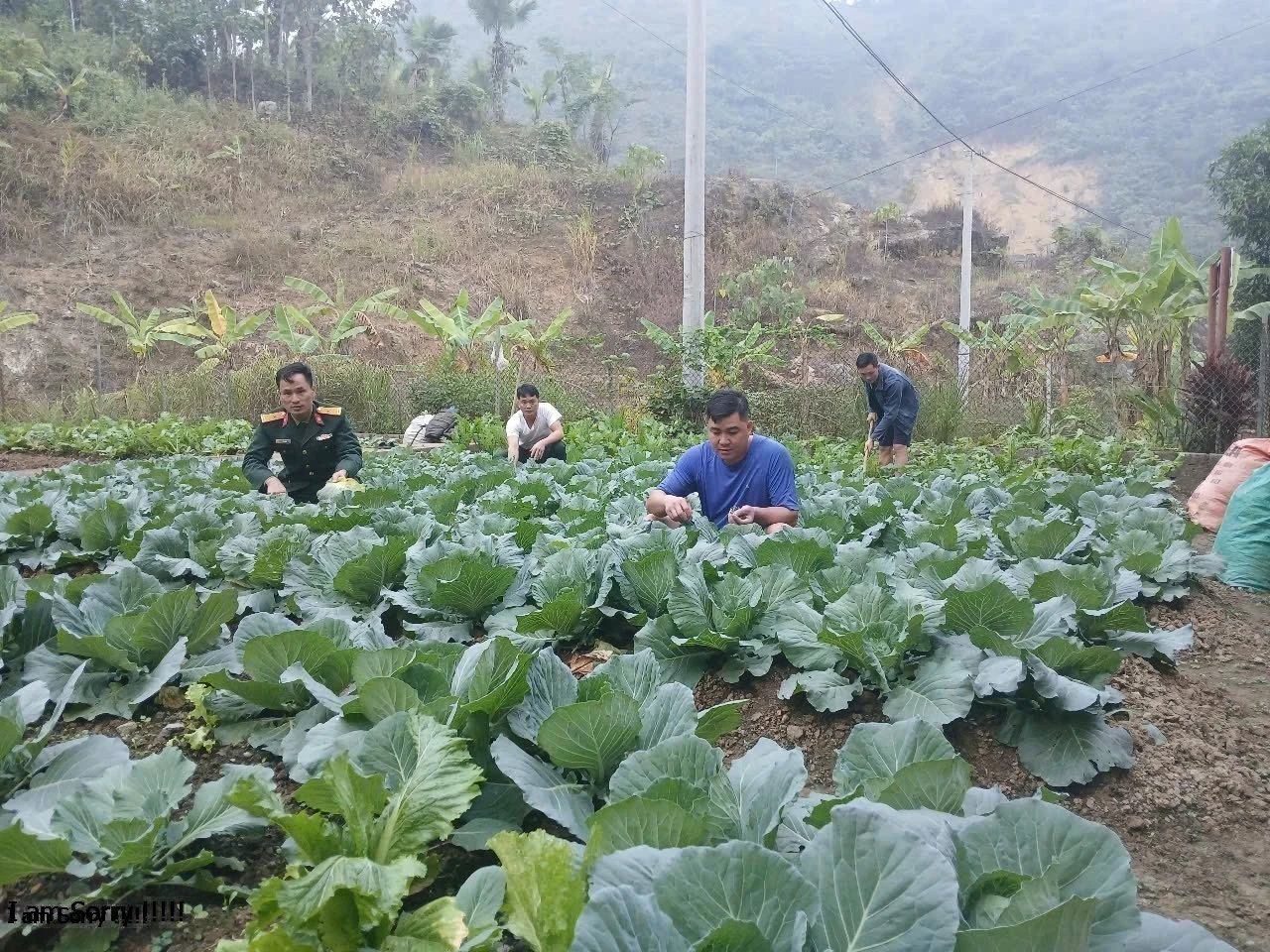 Thiếu tá Lý A Kho (mặc quân phục) cùng đồng đội tăng gia sản xuất.