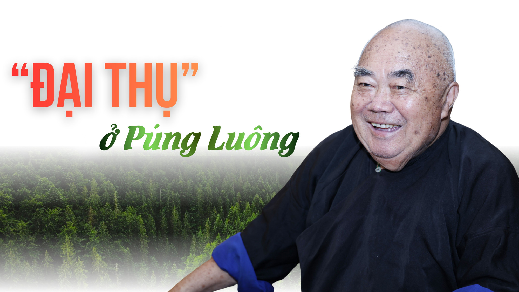 “Đại thụ” ở Púng Luông