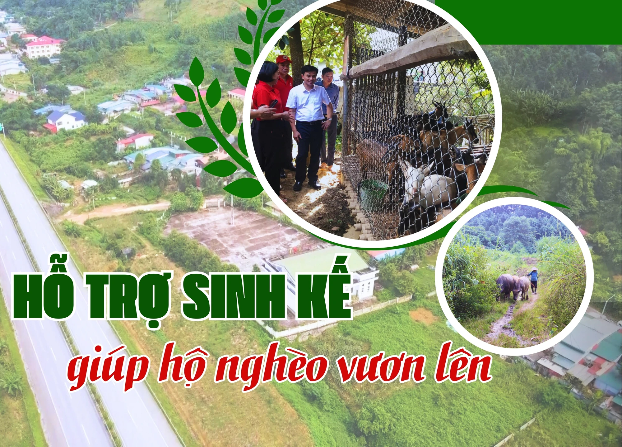 Hỗ trợ sinh kế giúp hộ nghèo vươn lên