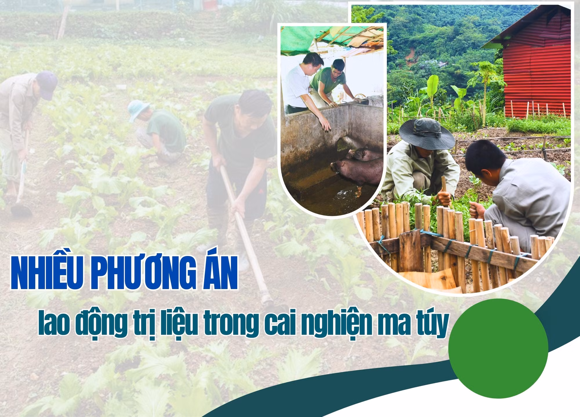 Nhiều phương án lao động trị liệu trong cai nghiện ma túy