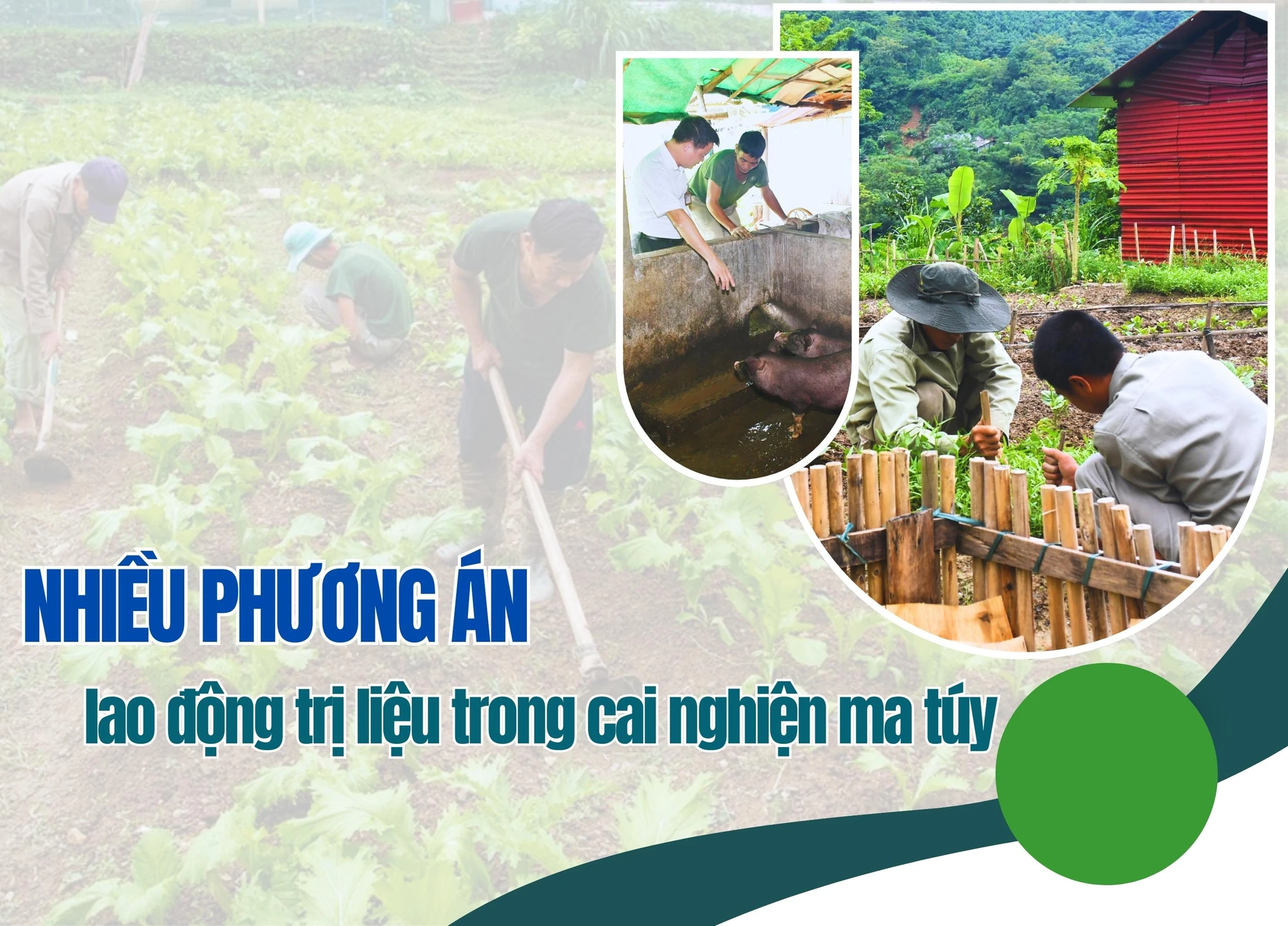 Nhiều phương án lao động trị liệu trong cai nghiện ma túy