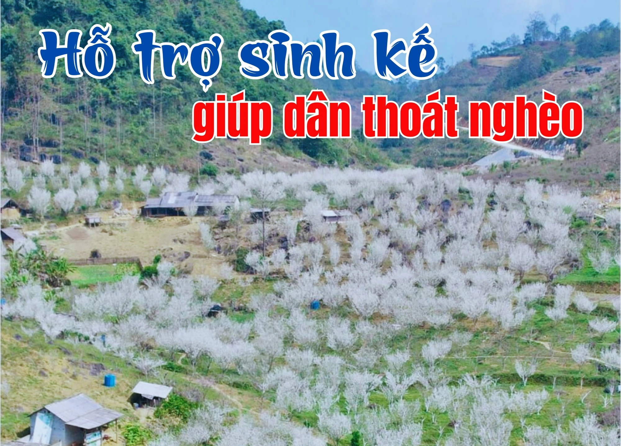 Hỗ trợ sinh kế giúp dân thoát nghèo