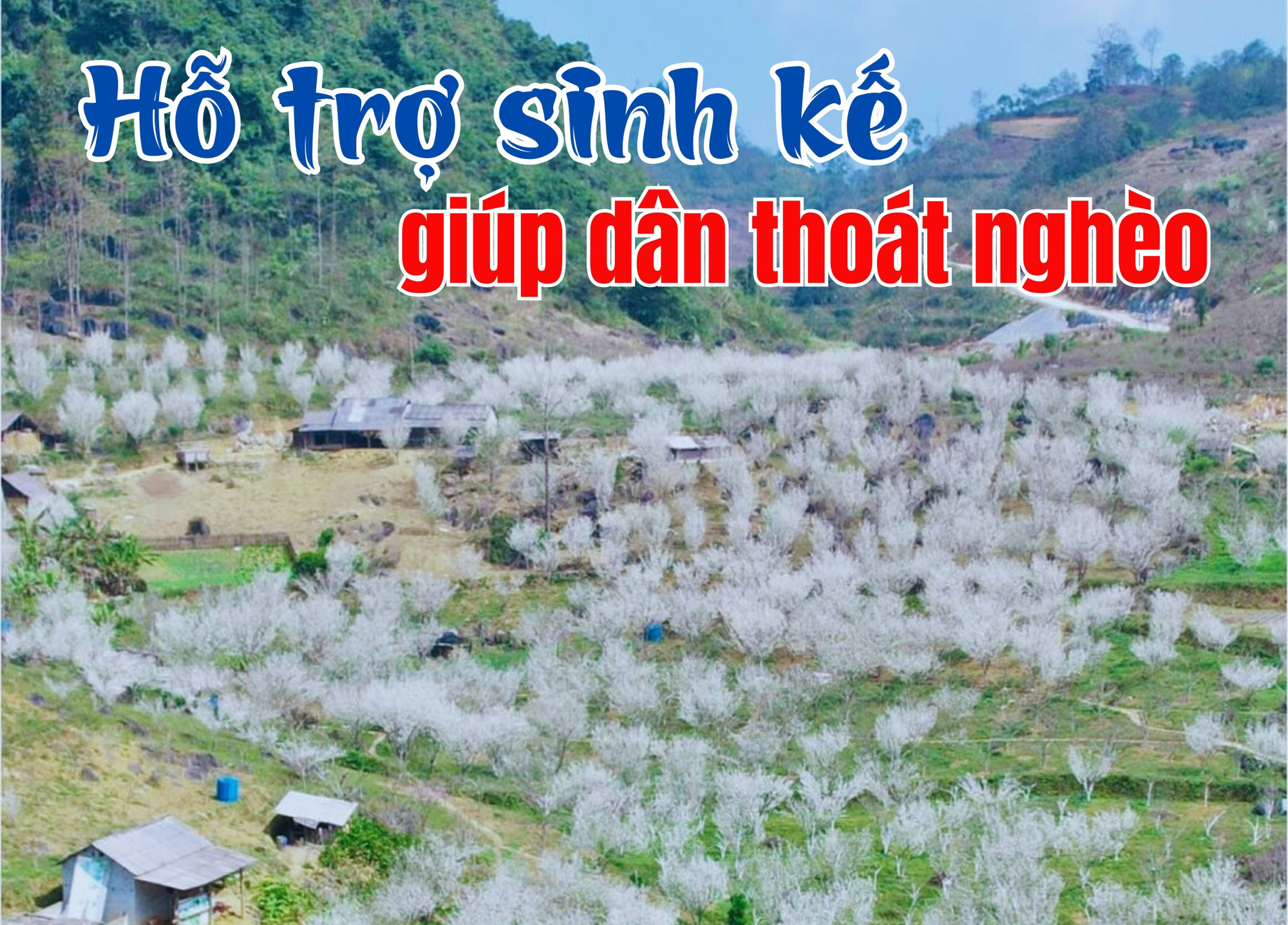 Hỗ trợ sinh kế giúp dân thoát nghèo