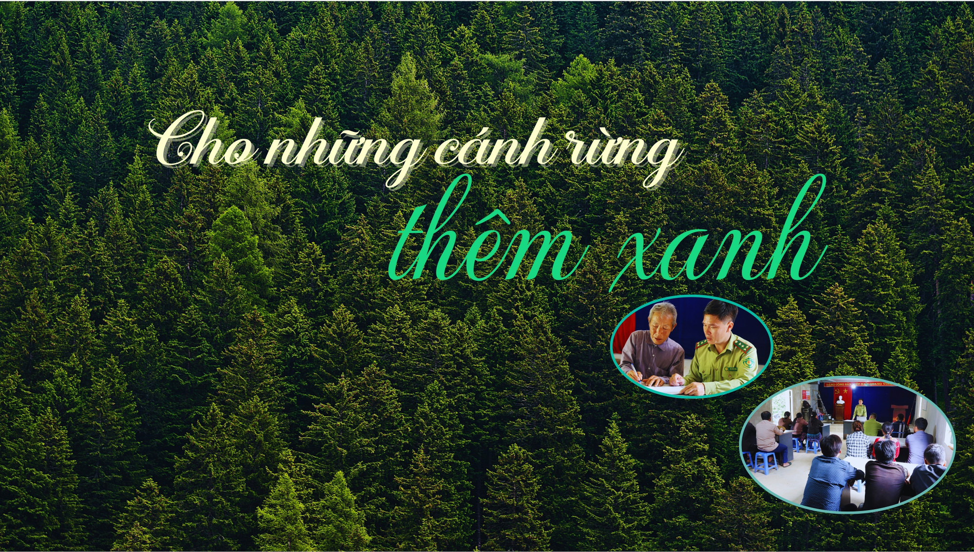 Cho những cánh rừng thêm xanh