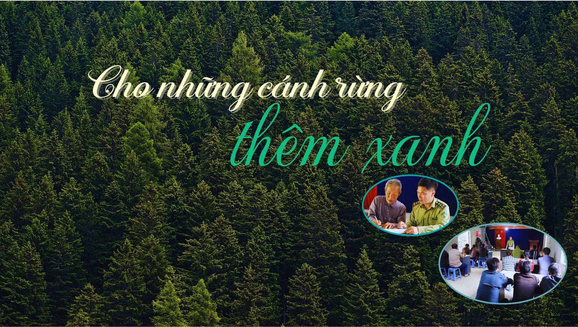 Cho những cánh rừng thêm xanh