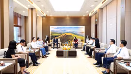 UBND tỉnh Lào Cai làm việc với Quỹ Phát triển Hạnh phúc khu vực (FAD)