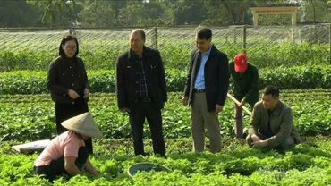 Hướng đến khuyến nông đa giá trị