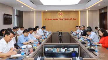 Đoàn công tác của ADB tại Việt Nam làm việc với UBND tỉnh Lào Cai
