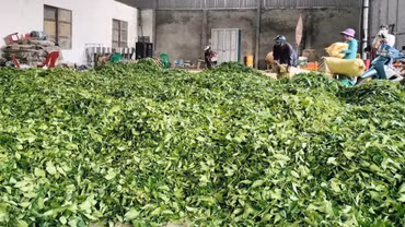 Sức mạnh từ các "hạt nhân" liên kết