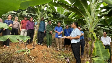 “Cánh tay nối dài” của ngành nông nghiệp tại cơ sở