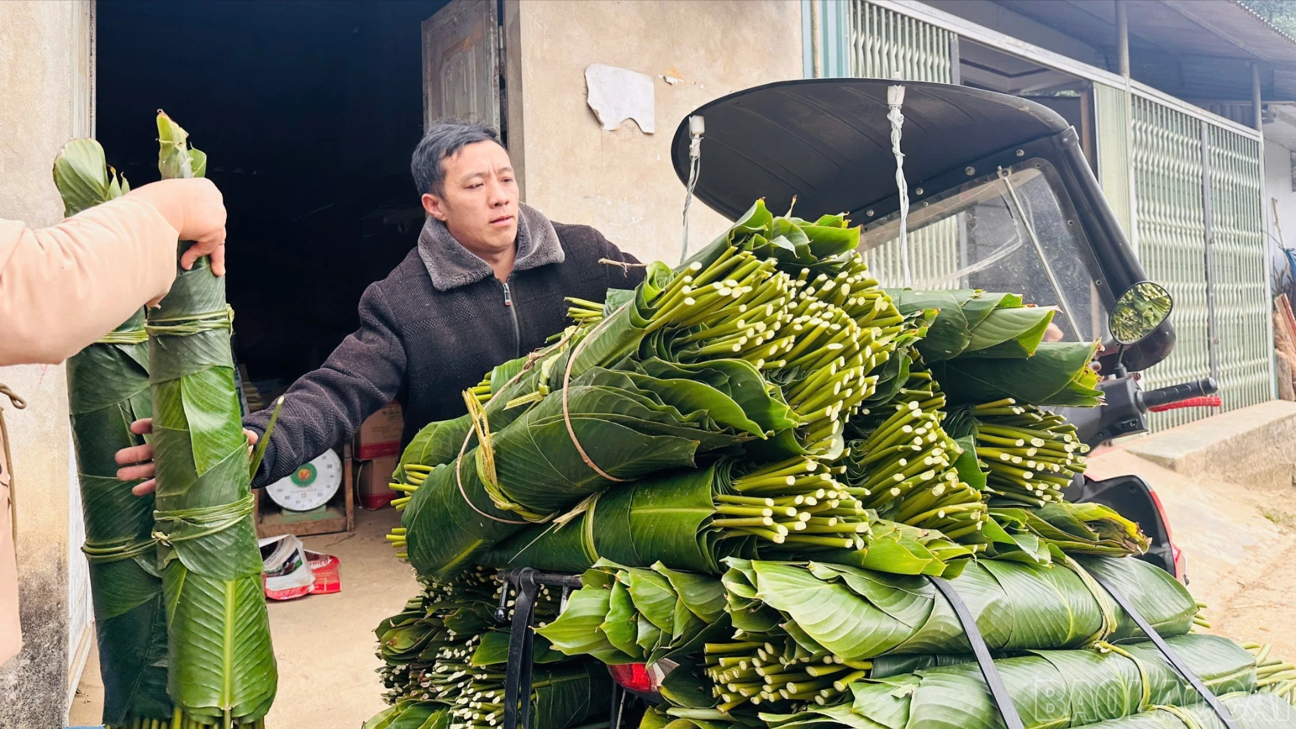 baolaocai-br_z7489775653347-e9c54c31593f28df19d3046585ff76ad-156.jpg