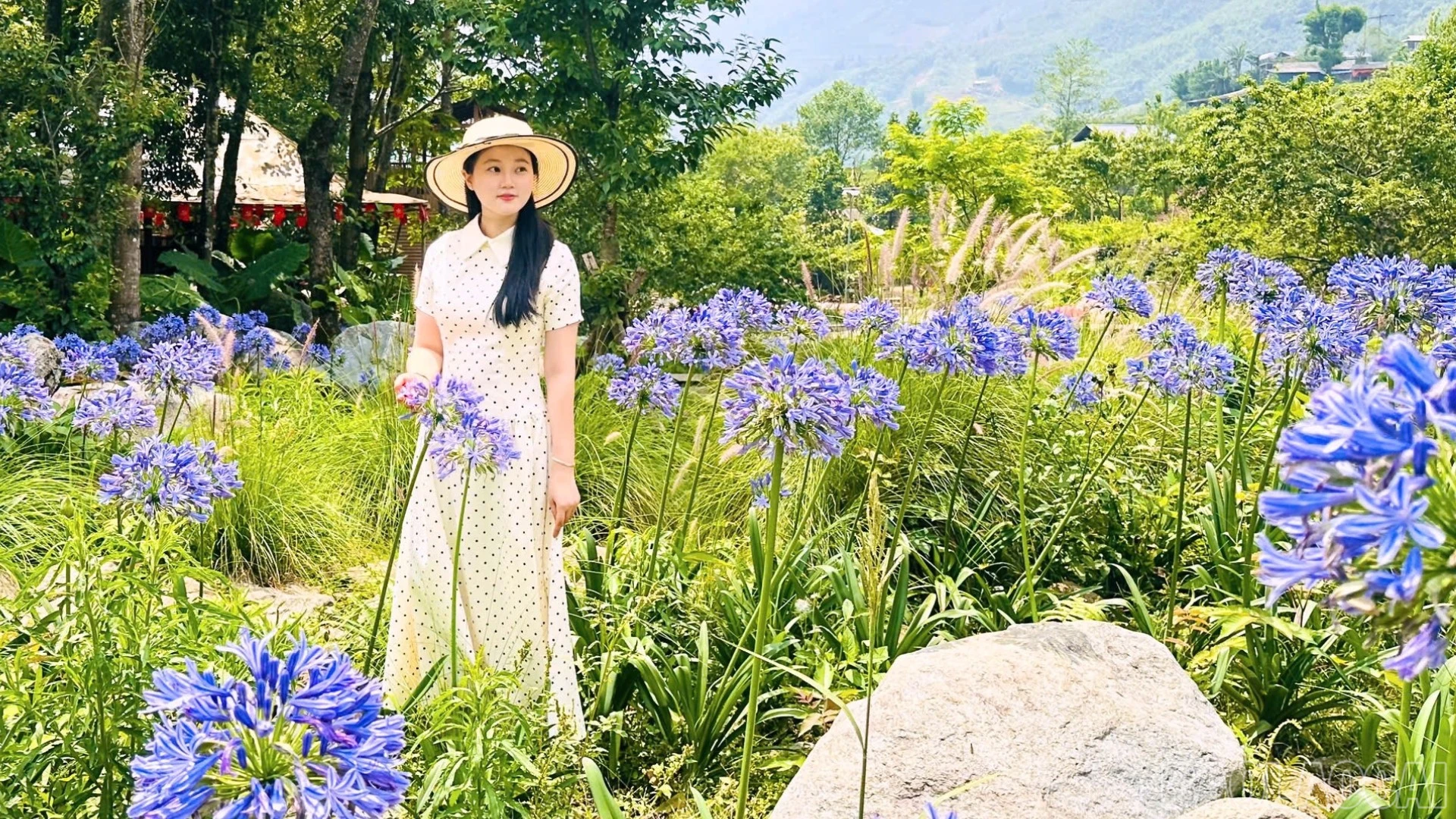 baolaocai-br_10.jpg