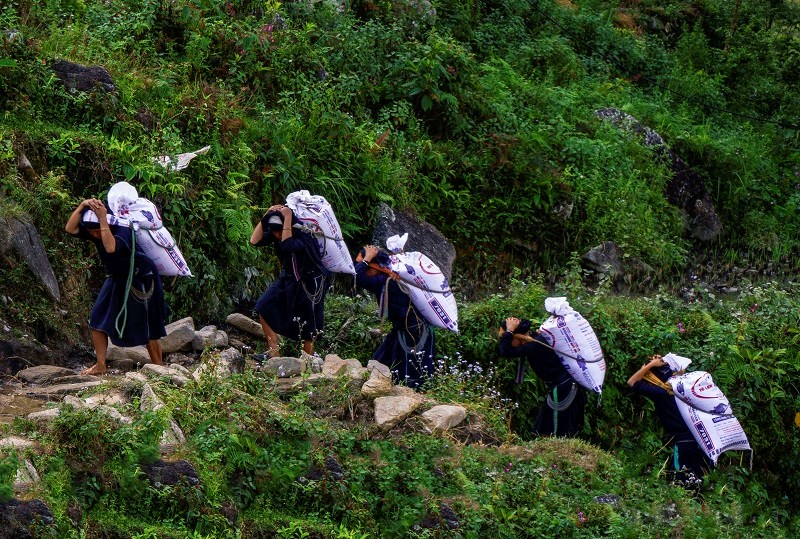 Ngỡ ngàng vẻ đẹp ruộng bậc thang Hoàng Su Phì mùa lúa chín ảnh 6 Ngỡ ngàng vẻ đẹp ruộng bậc thang Hoàng Su Phì mùa lúa chín ảnh 6