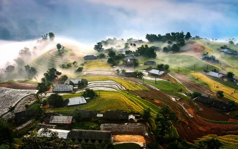 Ngỡ ngàng vẻ đẹp ruộng bậc thang Hoàng Su Phì mùa lúa chín ảnh 1 Ngỡ ngàng vẻ đẹp ruộng bậc thang Hoàng Su Phì mùa lúa chín ảnh 1