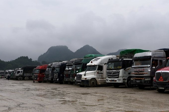 Nhiều tài xế phải quay đầu xe, đưa nông sản bị ùn tắc về tiêu thụ tại thị trường nội địa.