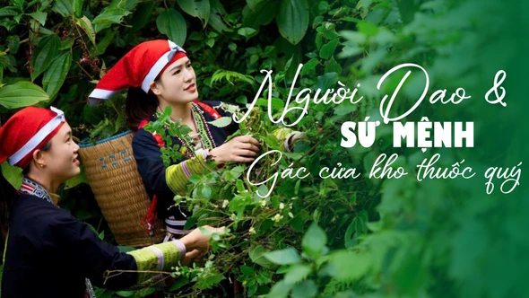 Sứ mệnh "gác cửa" kho thuốc quý