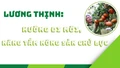 Lương Thịnh: Hướng đi mới, nâng tầm nông sản chủ lực