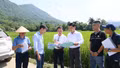 Lâm Thượng: Đẩy nhanh tiến độ hạ trạm biến áp để xóa bỏ tình trạng người dân phải tự kéo điện gây mất an toàn