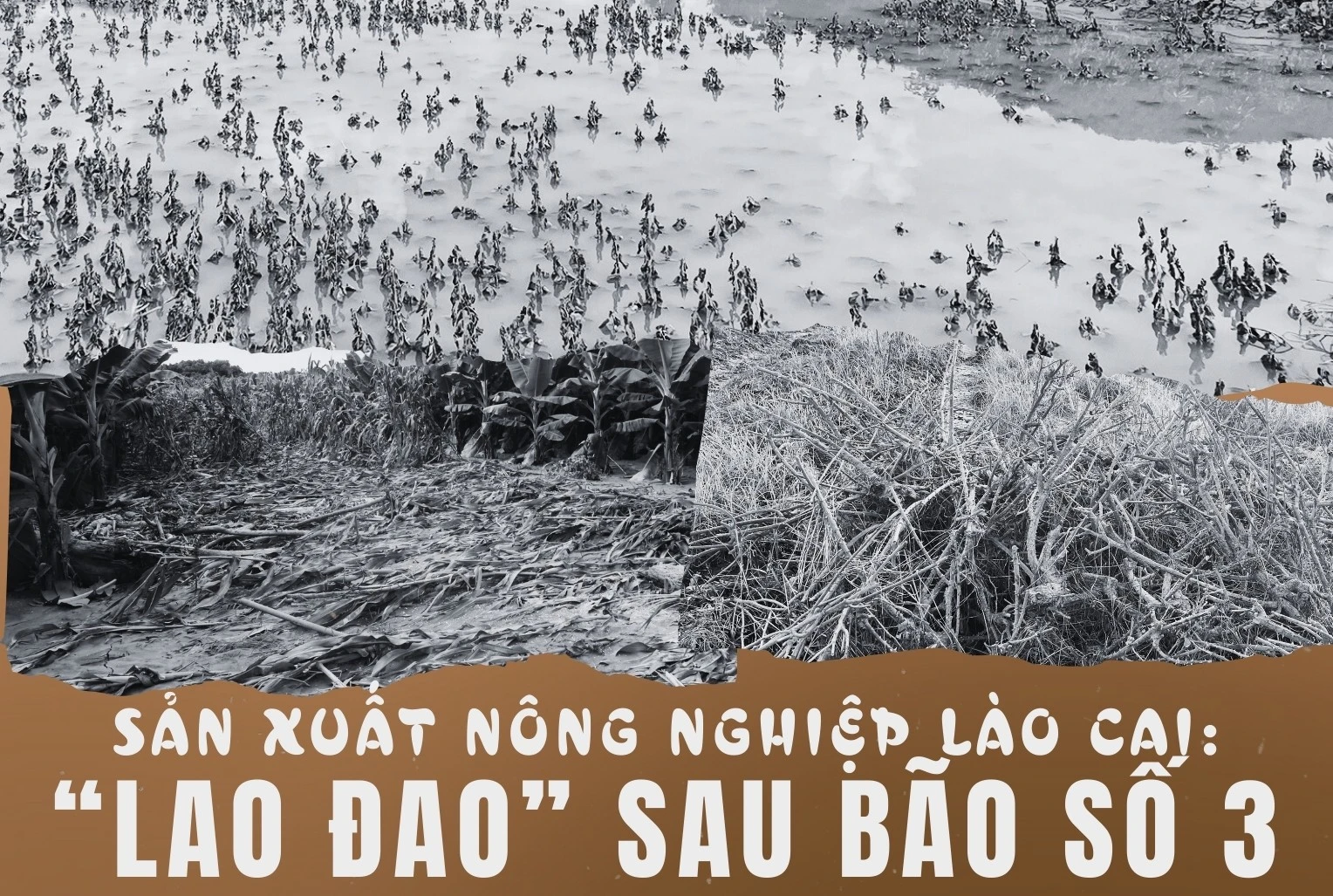 Sản xuất nông nghiệp Lào Cai: “Lao đao” sau bão số 3