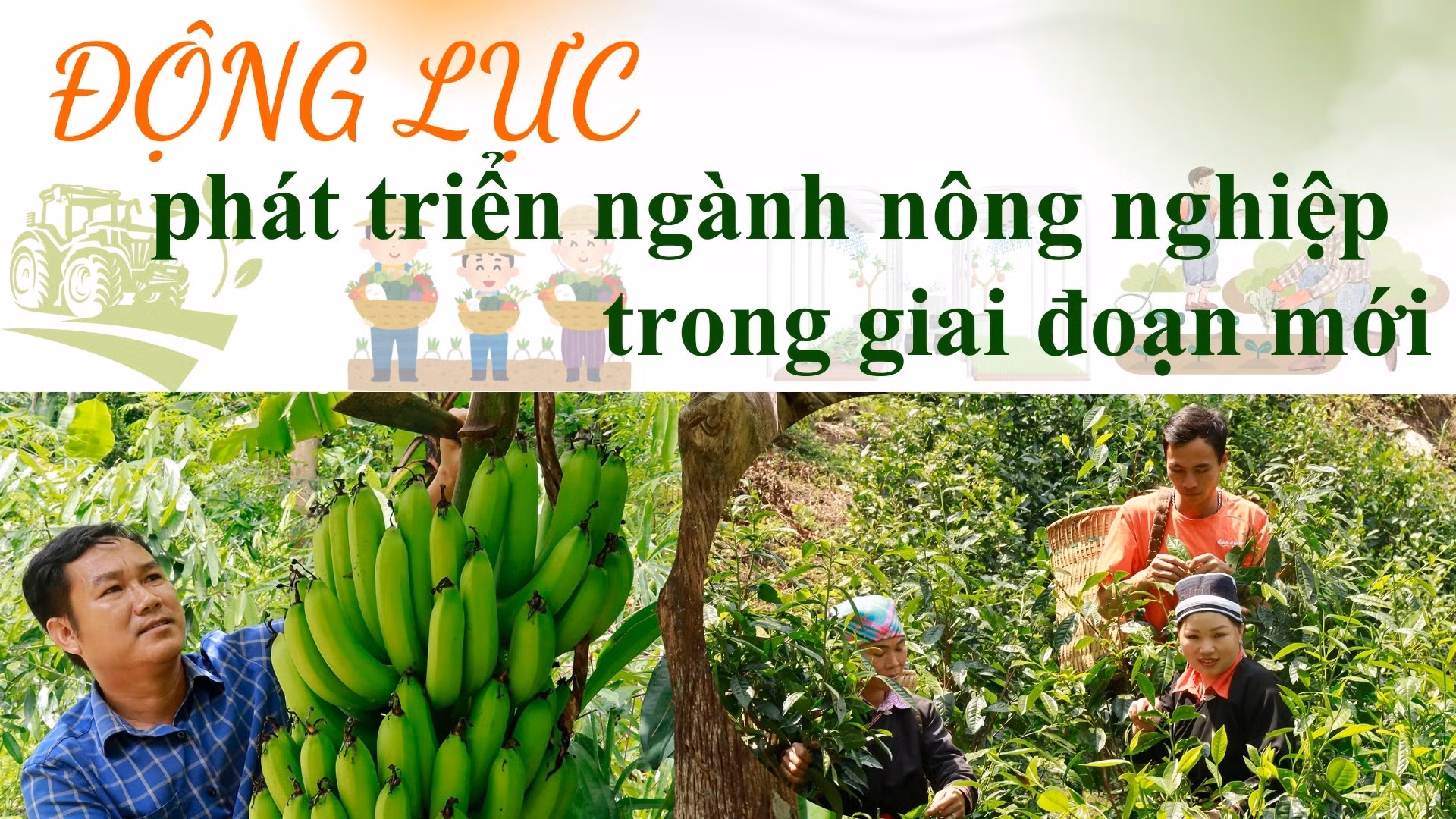 Động lực phát triển ngành nông nghiệp trong giai đoạn mới