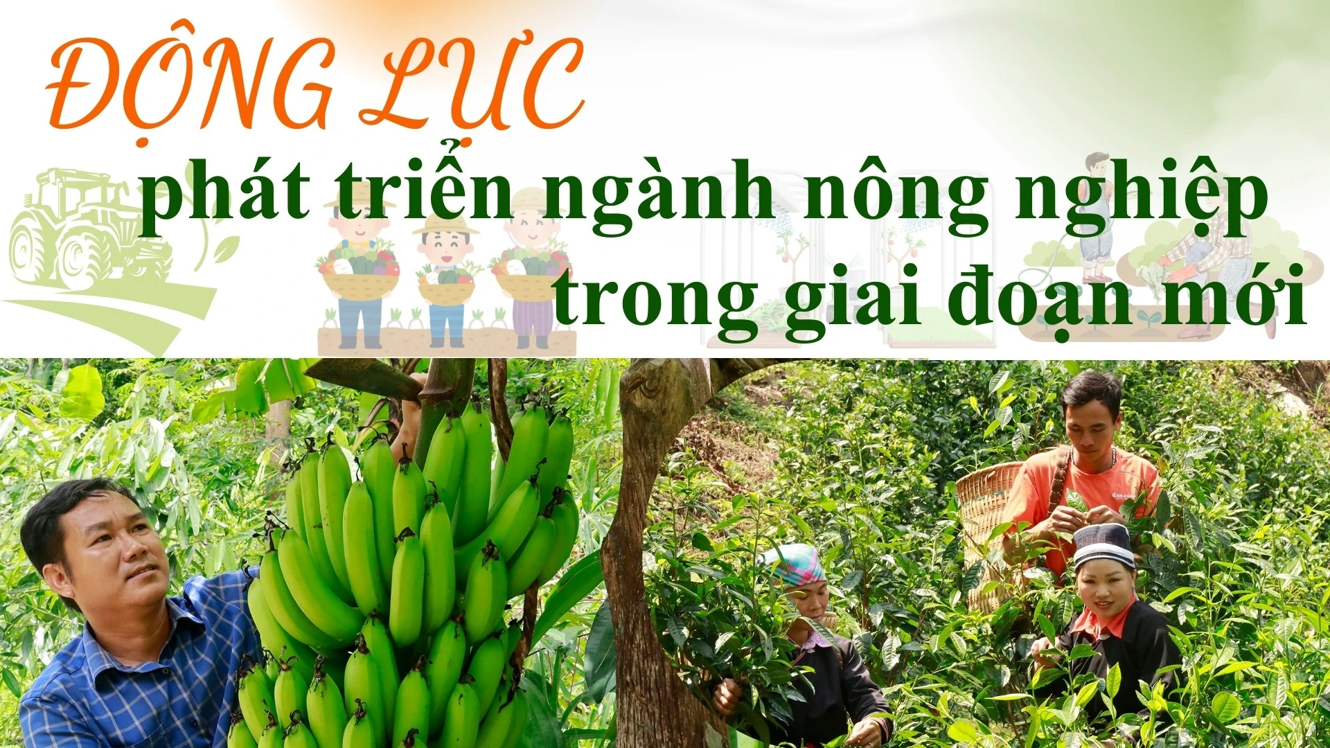 Động lực phát triển ngành nông nghiệp trong giai đoạn mới