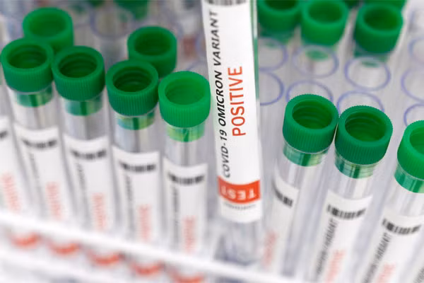 Các nhà khoa học cảnh báo về biến thể Omicron mới siêu lây nhiễm ảnh 1
