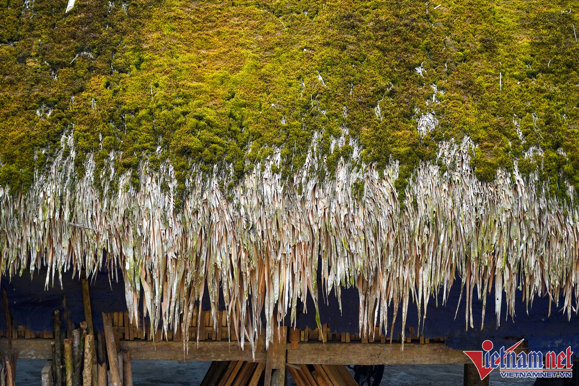 Những mái nhà rêu của người Dao trên dãy Tây Côn Lĩnh ảnh 8 Những mái nhà rêu của người Dao trên dãy Tây Côn Lĩnh ảnh 8