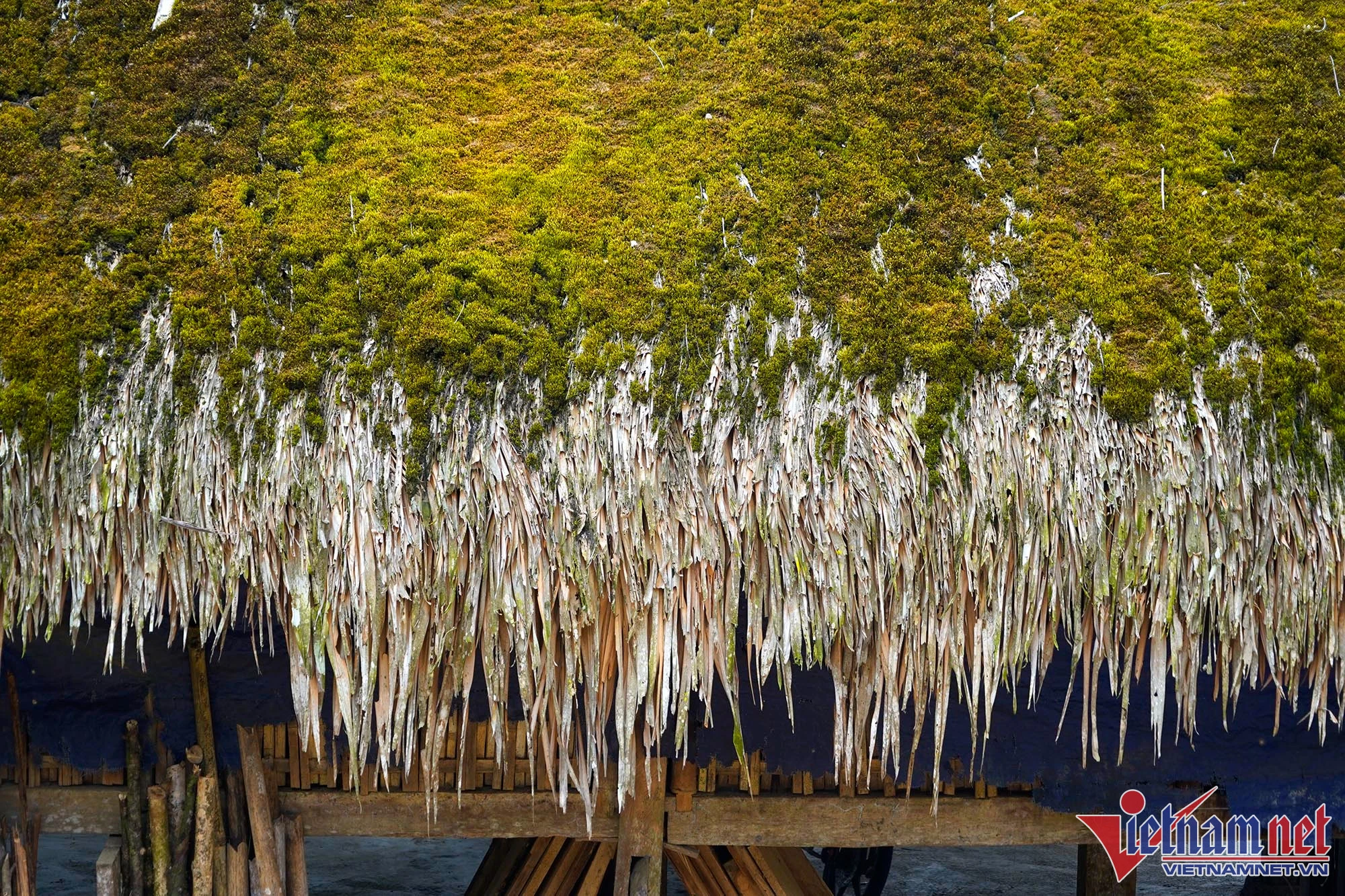 Những mái nhà rêu của người Dao trên dãy Tây Côn Lĩnh ảnh 8 Những mái nhà rêu của người Dao trên dãy Tây Côn Lĩnh ảnh 8