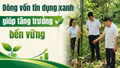 Dòng vốn tín dụng xanh giúp tăng trưởng bền vững 