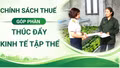 Chính sách thuế góp phần thúc đẩy kinh tế tập thể 