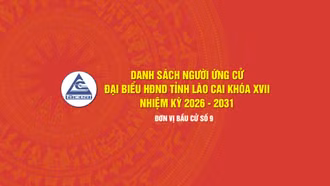 [Infographic] Tiểu sử tóm tắt những người ứng cử đại biểu HĐND tỉnh Lào Cai khóa XVII, nhiệm kỳ 2026 - 2031 (Đơn vị bầu cử số 9)