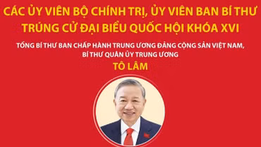 Các Ủy viên Bộ Chính trị, Ủy viên Ban Bí thư trúng cử đại biểu Quốc hội khóa XVI