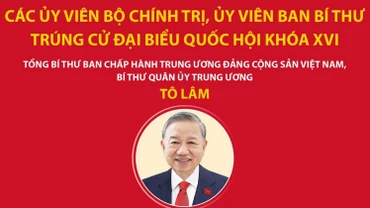 Các Ủy viên Bộ Chính trị, Ủy viên Ban Bí thư trúng cử đại biểu Quốc hội khóa XVI