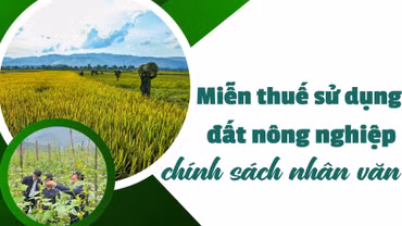 Miễn thuế sử dụng đất nông nghiệp chính sách nhân văn 