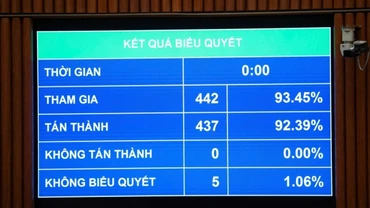  Tuyển dụng, sử dụng, quản lý viên chức theo vị trí việc làm