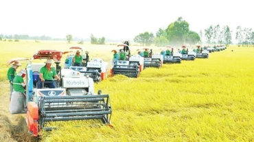 Tạo lợi thế cạnh tranh cho ngành lúa gạo Việt