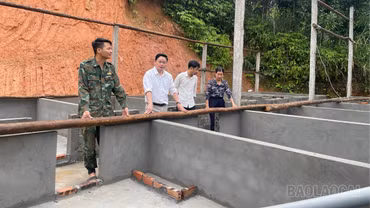 Hiện thực hoá Quyết định 13: Khơi dòng vốn hỗ trợ nông dân