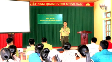 Triển khai thí điểm cấp, quản lý mã số vùng trồng rừng nguyên liệu tại Phúc Lợi và Khánh Hòa