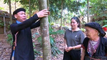 Phát huy vai trò người uy tín trong vùng đồng bào dân tộc thiểu số