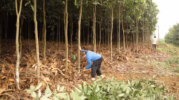 Những tấm lòng vì đường quê rộng mở 