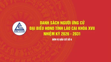 [Infographic] Tiểu sử tóm tắt những người ứng cử đại biểu HĐND tỉnh Lào Cai khóa XVII, nhiệm kỳ 2026 - 2031 (Đơn vị bầu cử số 6)