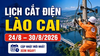 Lịch cắt điện Lào Cai tuần này 24–30/8/2026: Xem chi tiết từng ngày