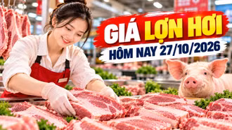 Giá lợn hơi hôm nay 27/10: Miền Trung xuất hiện mức 45.000 đồng/kg