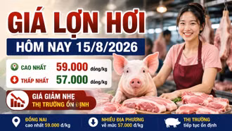 Giá lợn hơi hôm nay 15/8: Một nửa địa phương còn 57.000 đồng/kg