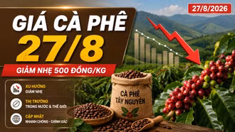 Hình minh họa.