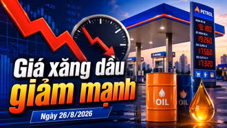 Giá xăng dầu hôm nay 26/8: Dầu thế giới giảm mạnh trước kỳ điều chỉnh