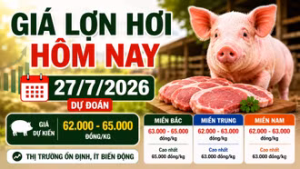 Giá lợn hơi hôm nay 27/7: Miền Bắc cao nhất 65.000 đồng/kg