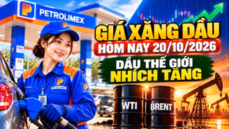 Giá xăng dầu hôm nay 20/10: Dầu thế giới tăng, áp lực giá trong nước còn lớn