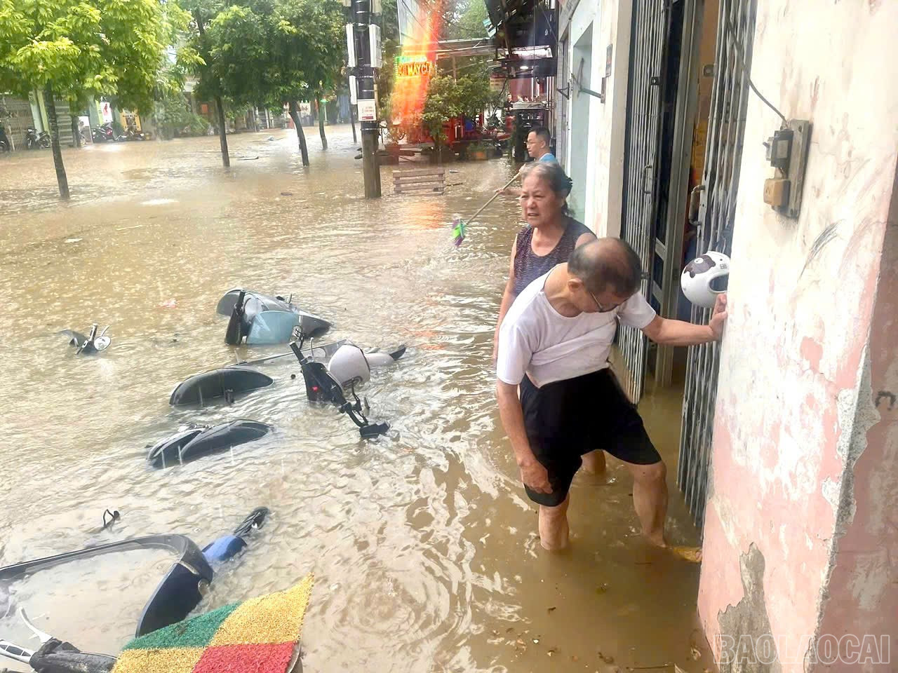 baolaocai-br_z6992038498910-08e330ca12a0e4f78655d6012b45c797.jpg