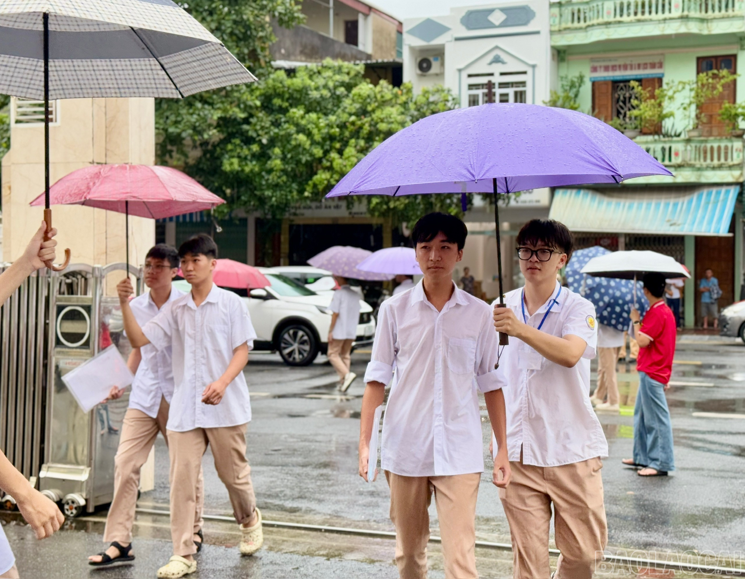 baolaocai-br_z6742692479588-994bf5f3d6032ff0bbb79f6c83010358.jpg